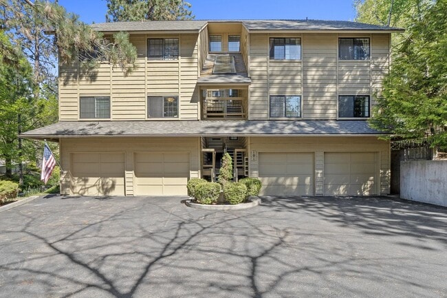 Building Photo - The Woodlands Condos Unit 101 S Neyland Avenue