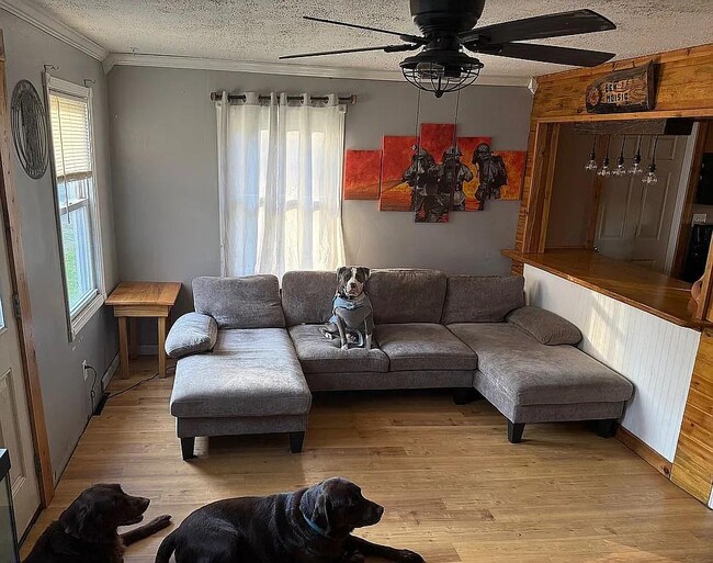 Photo - 4966 Collins Dr