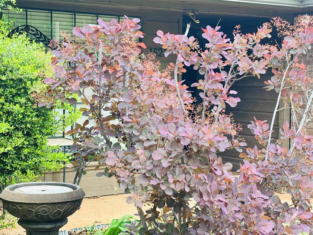 Photo - 1525 Davinbrook Dr