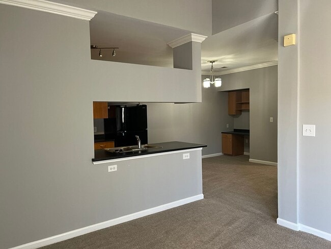 Photo - L(o)(o)K what we found!