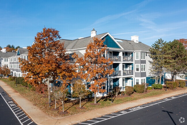 The Elmstead