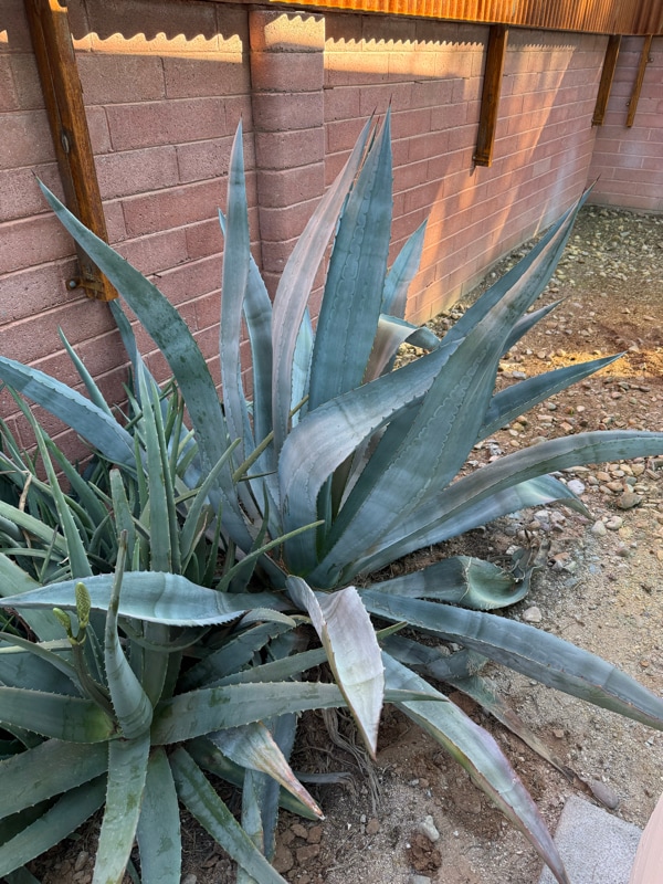 Photo - 5564 E Camden St