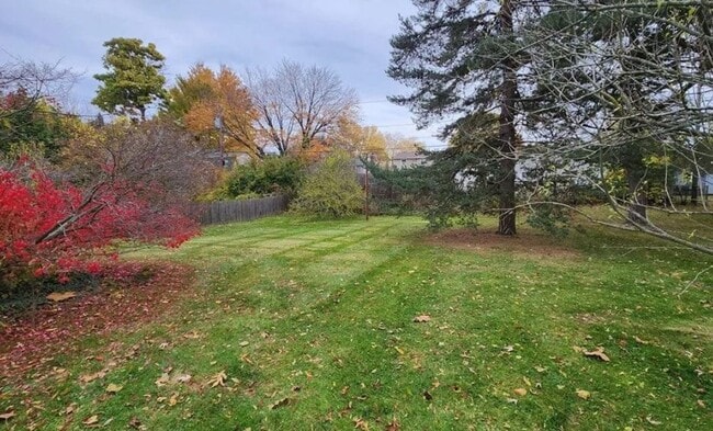 Photo - Charming 3-Bedroom Home with Large Backyard For Rent!