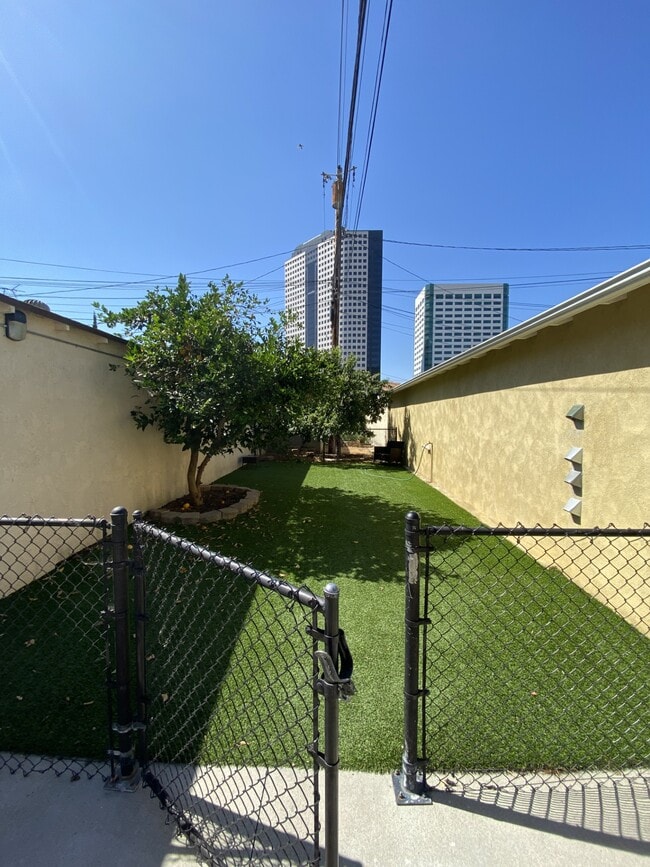 Dog Park! - 128 N Maple Street