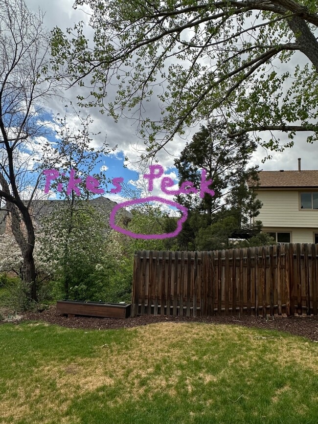 Winter view of Pikes Peak from DR - 5165 Granby Cir