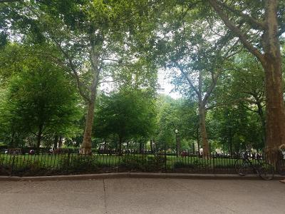 View from building entrance of the Square - 219 S 18th St Condominio Unidad 802