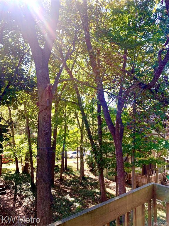 Photo - 808 Jones Dr