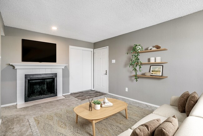 Renovación A1 - Elliot Pioneer