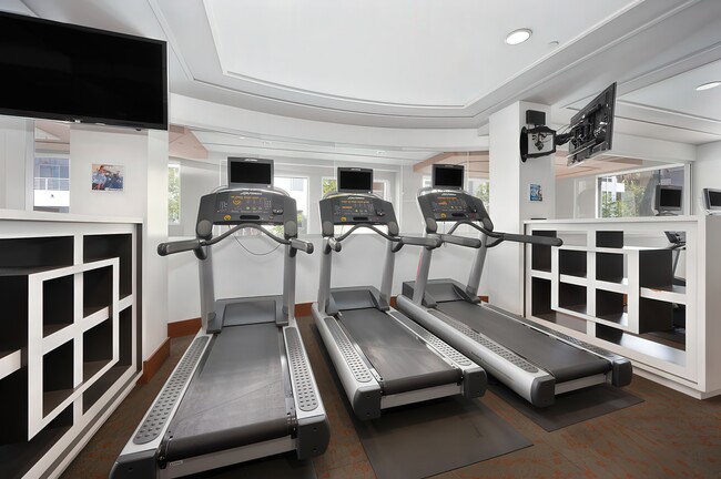 The Vivere Lofts