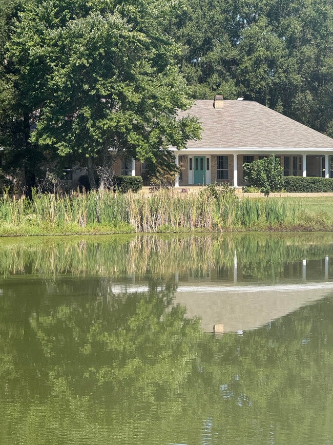 19 Turtle Pond N