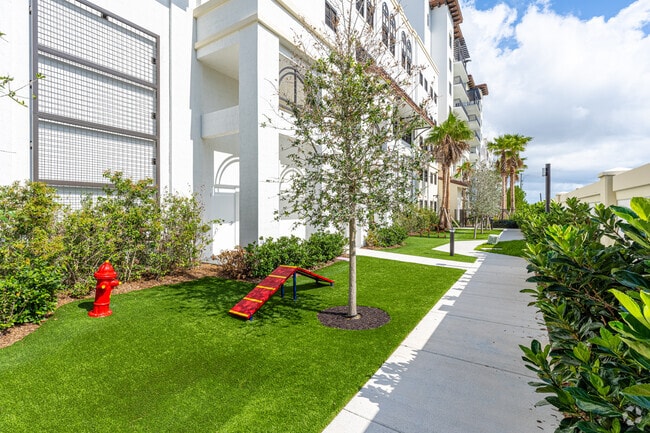 Dog Park - The Fitzgerald Camino Real