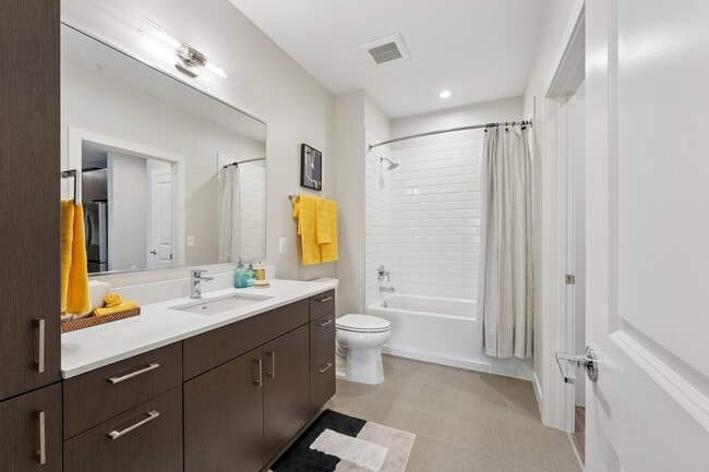 Alta NOVA Apartments & Townhomes