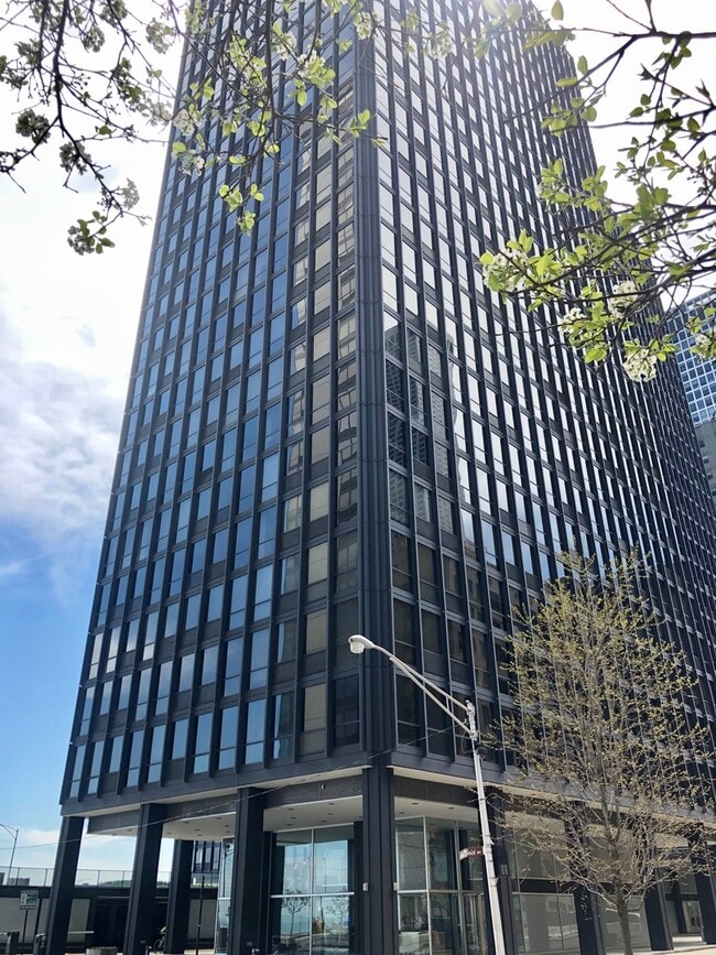 Building Photo - 910 N Lake Shore Dr Unit 2418