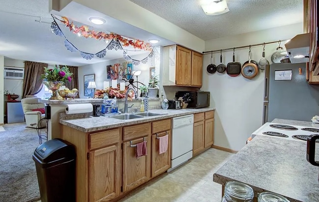 2527 New Pine Dr Unit 2527 - 1