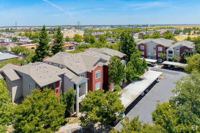 Alternate - Eaglewood