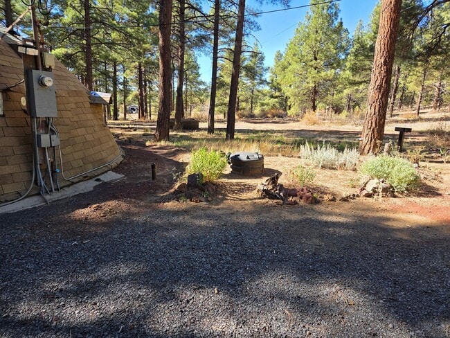 Photo - Unique Dome-Shaped Studio Surrounded by Ponderosa Pines