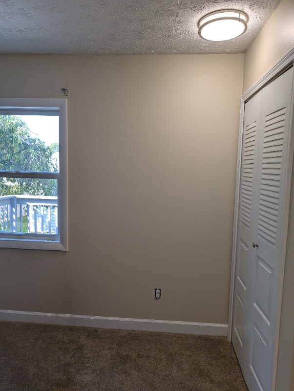 Photo - 17 Sheldon Rd