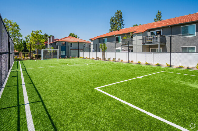 Soccer Cage