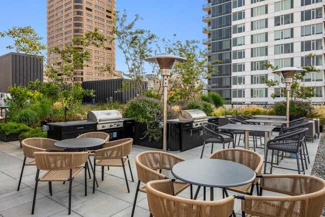 Roof deck with grills, fire pits and seating