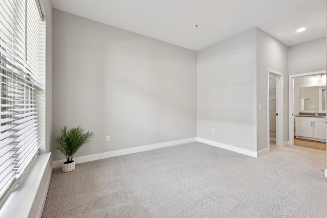 Photo - Elms Shady Grove