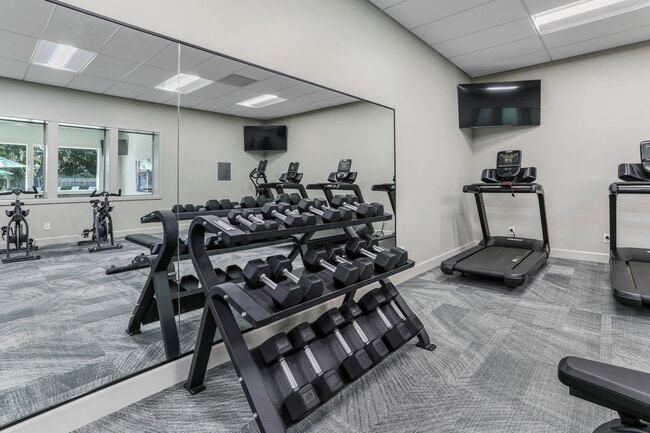 Photo - Venetian Bridges