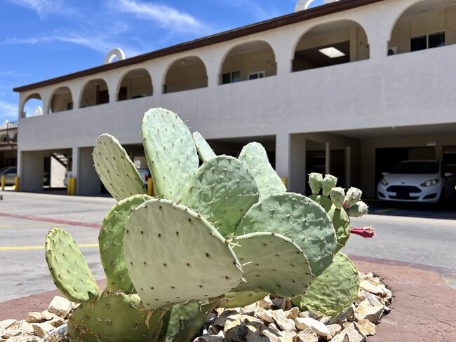 Photo - 4512 Arlen Ave