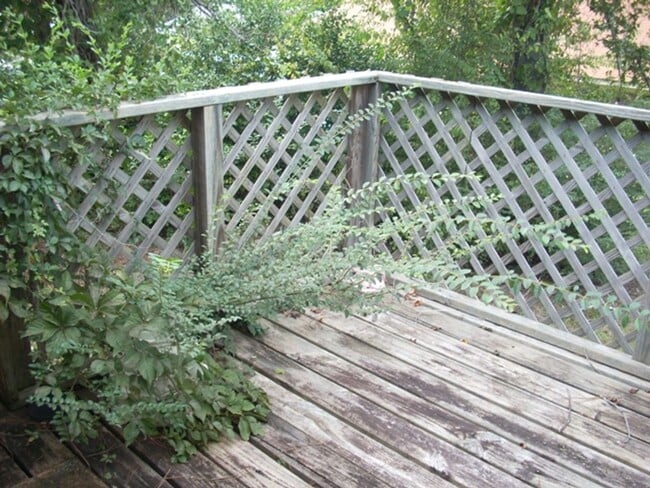 Photo - 9 Montclair Ct Unidad B