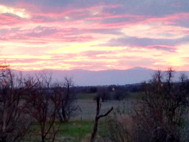 Photo - 19535 Red Bank Rd