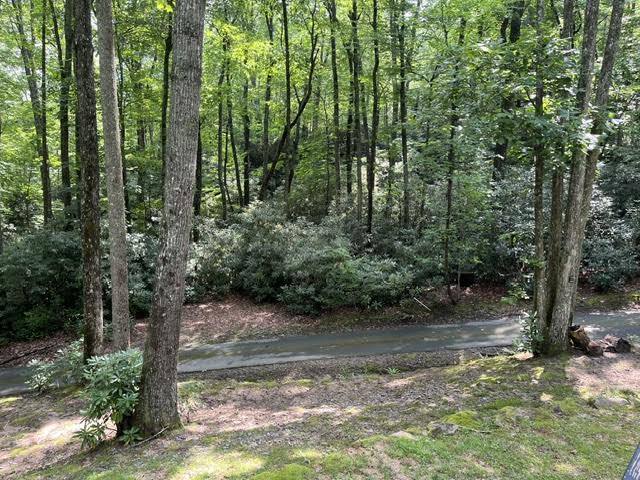 Photo - 117 Bear Rock Rd