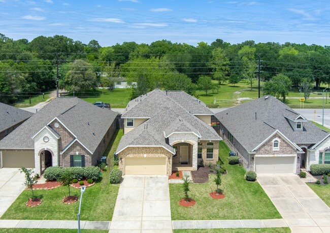 Photo - 431 American Black Bear