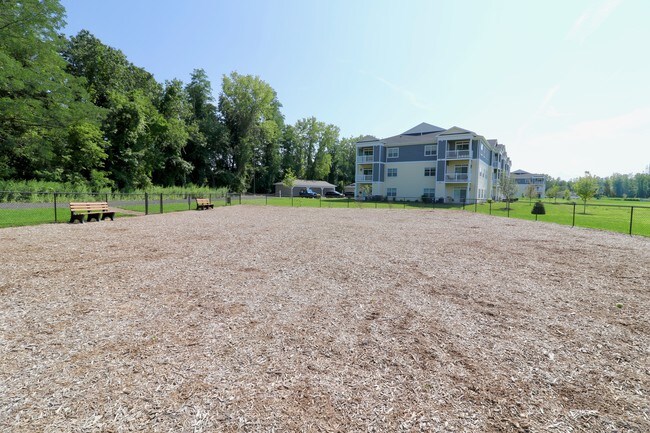 Dog Park