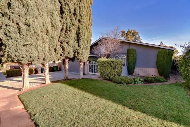 Photo - Single Family Home in the Heart of Santa Clara