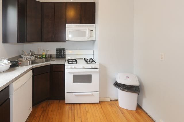 Photo - 3506 W Grace St Unit 2