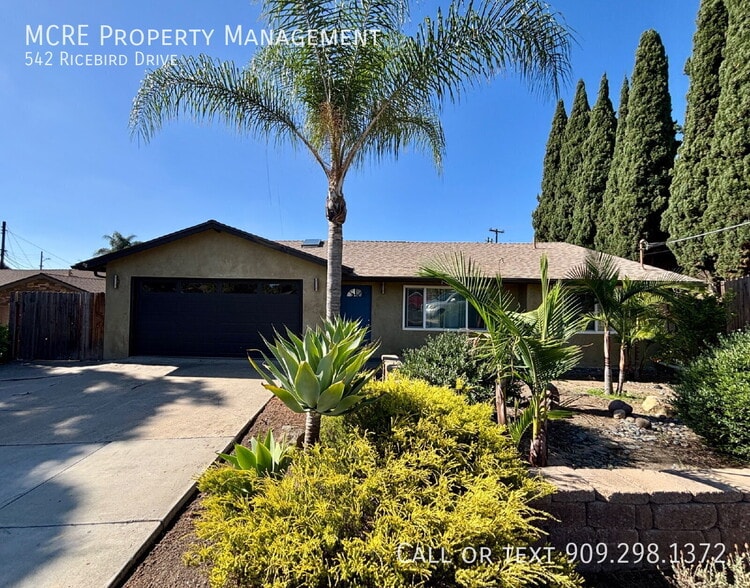 542 Ricebird Dr