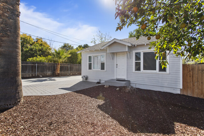 Orange tree in front yard - 3824 Spruce St Unit Entire Home