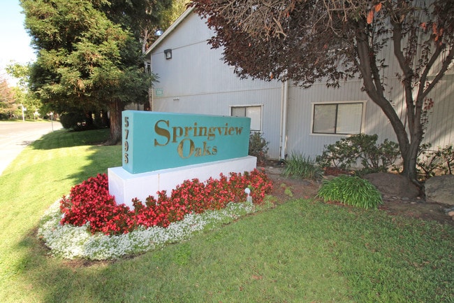 Springview Oaks Apartments - Springview Oaks Apartments