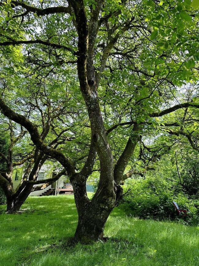 6648 Littlerock Rd SW Apartment Tumwater, WA