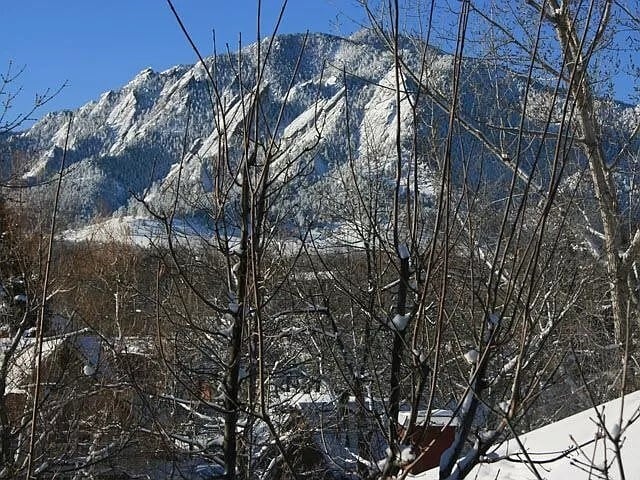 Photo - 1931 Grove St