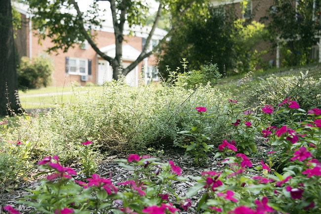 Briarwood House Apartments