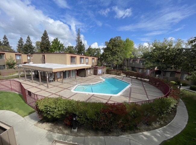 Large Pool