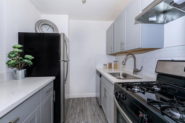 Photo - The Wexler Apartments