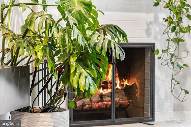 Photo - 907 S Rolfe St