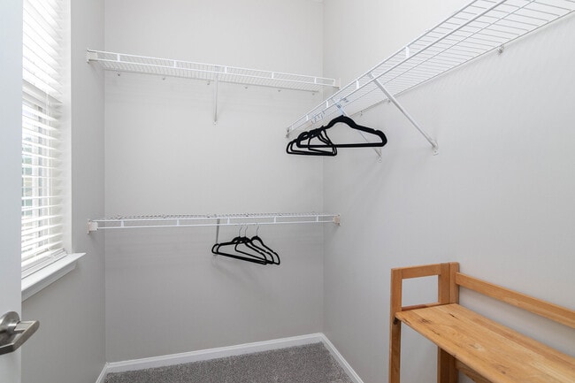 example of walk in closet - 449 Olive Branch Way