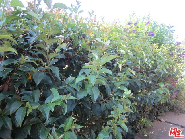 Photo - 6837 Lubao Ave