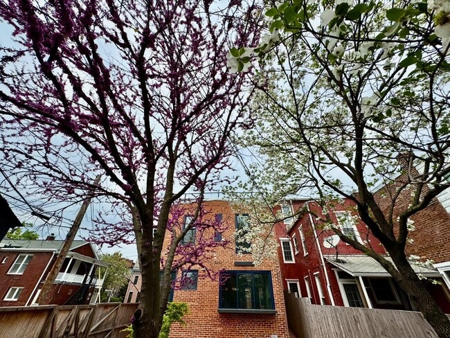 Photo - 107 Calder St