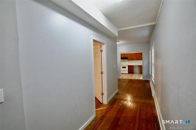 Photo - 389 Orchard St