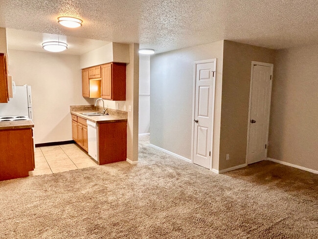 Cozy apartment interior featuring an open kitchen with modern appliances and a spacious living area with plush carpet. - 947-951 Allison Street