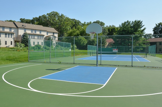 Basketball Court