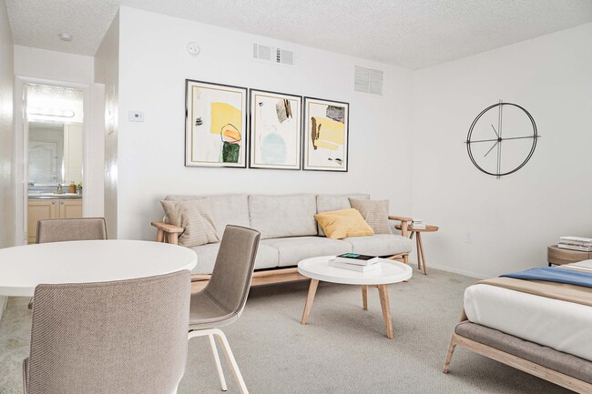 Photo - Coconut Palms