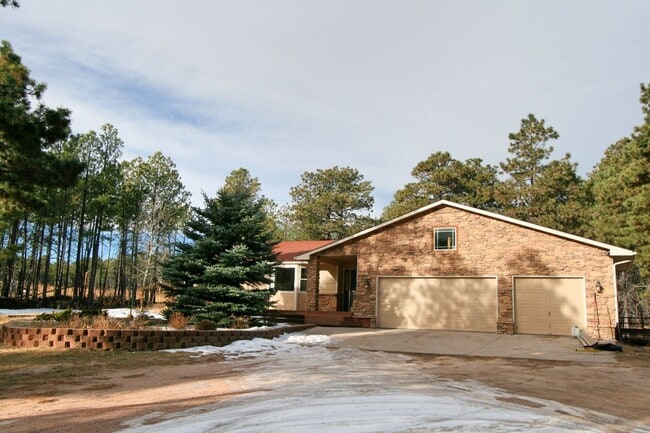 Building Photo - Beautifully Updated Black Forest Rancher on 5 Acres!
